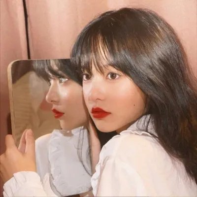 我的小狮王